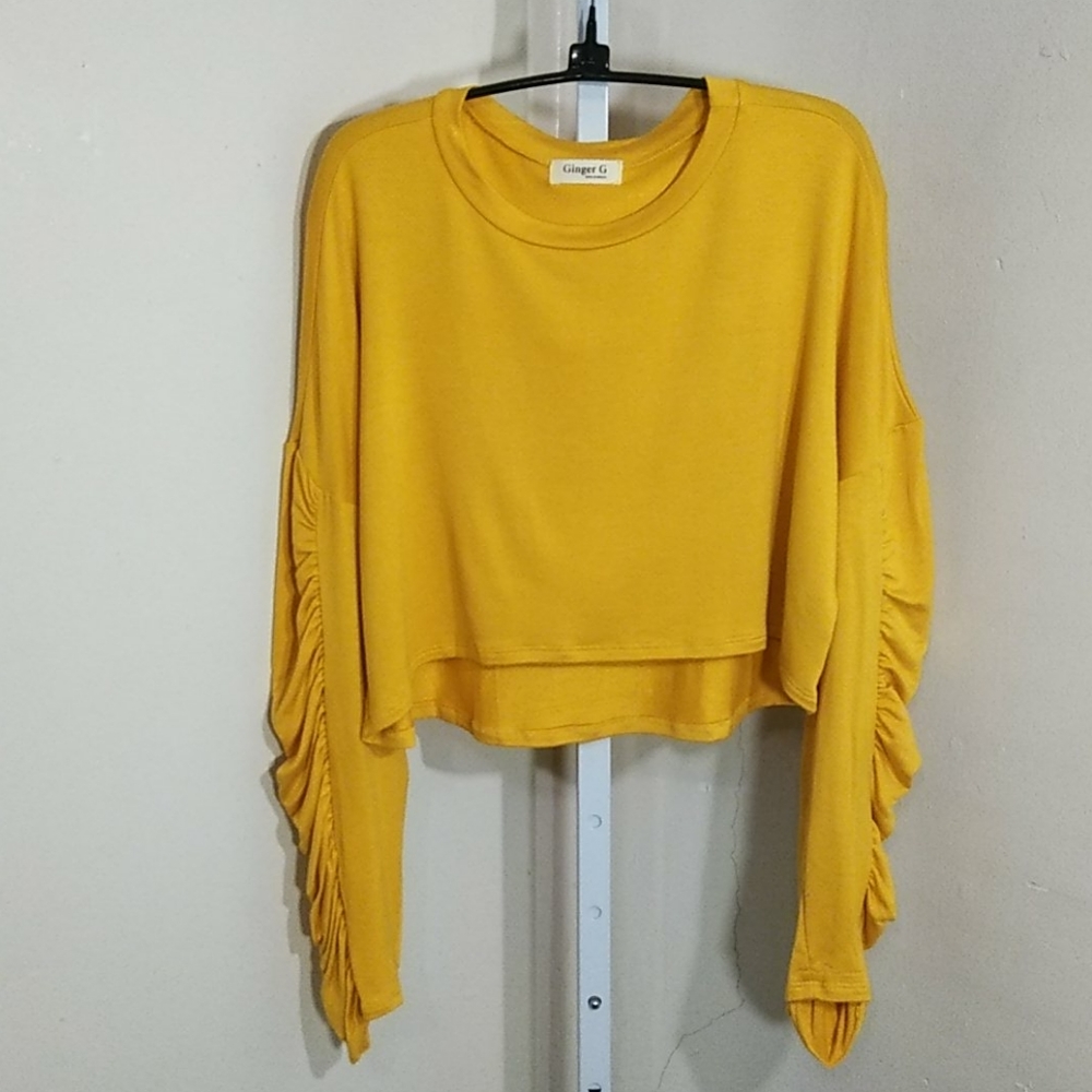 Gathered sleeve crop top  NWOT